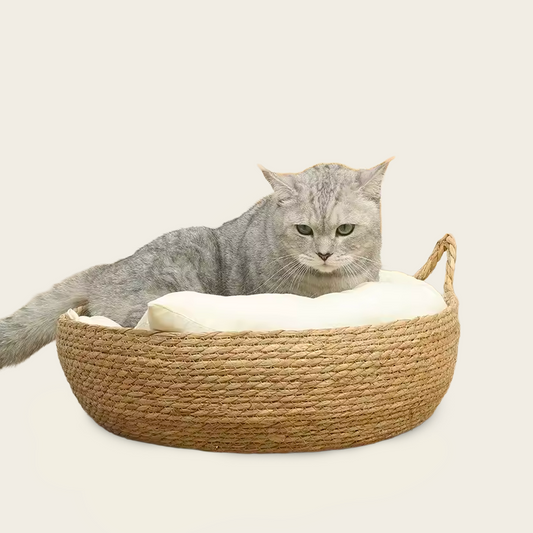 Panier en Osier<br>pour Chat à Petit Prix