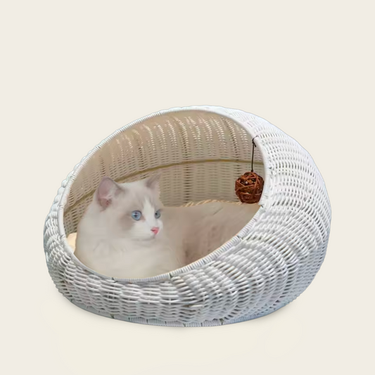 Panier pour Chat<br>en Osier Blanc