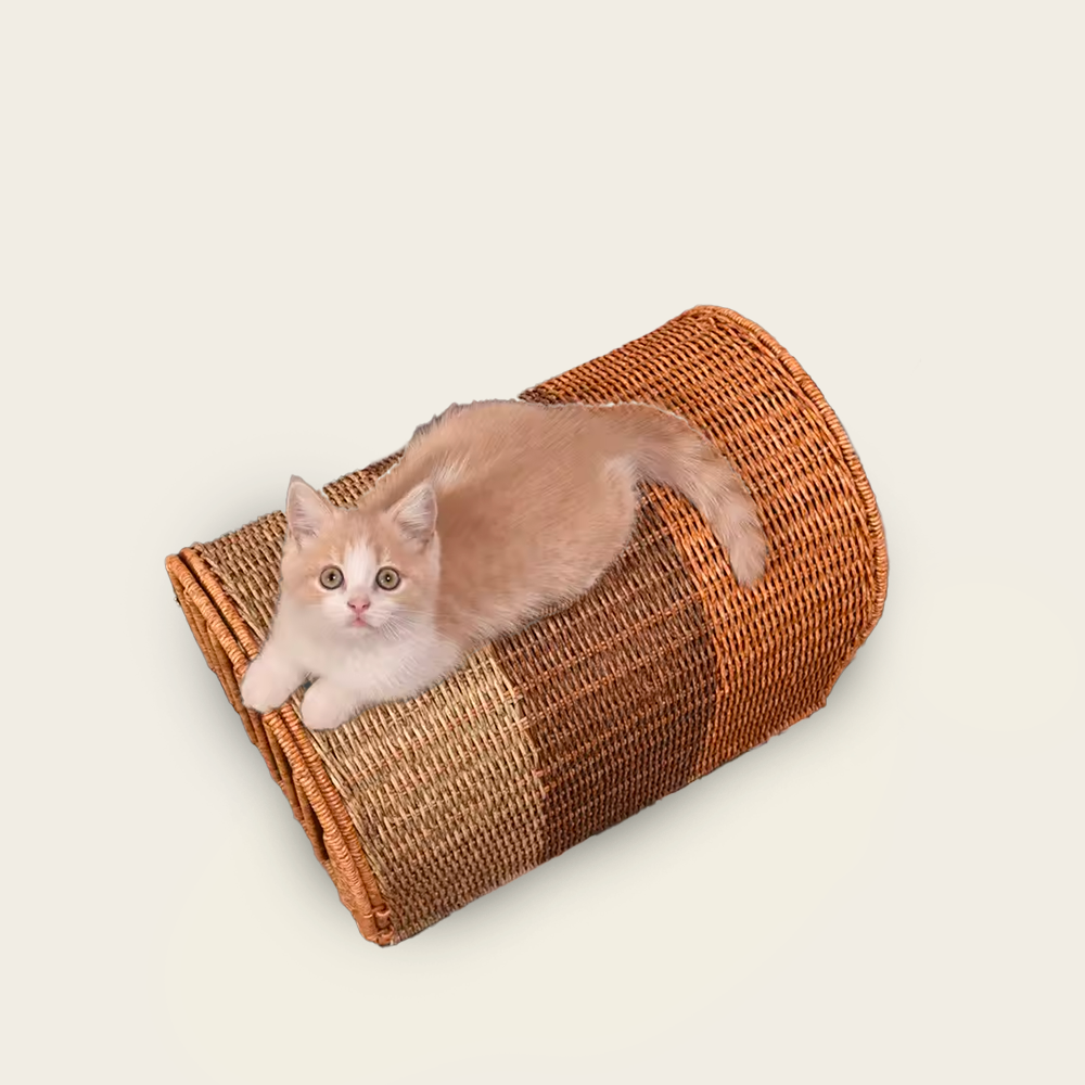Panier de Transport<br>en Osier pour Chat