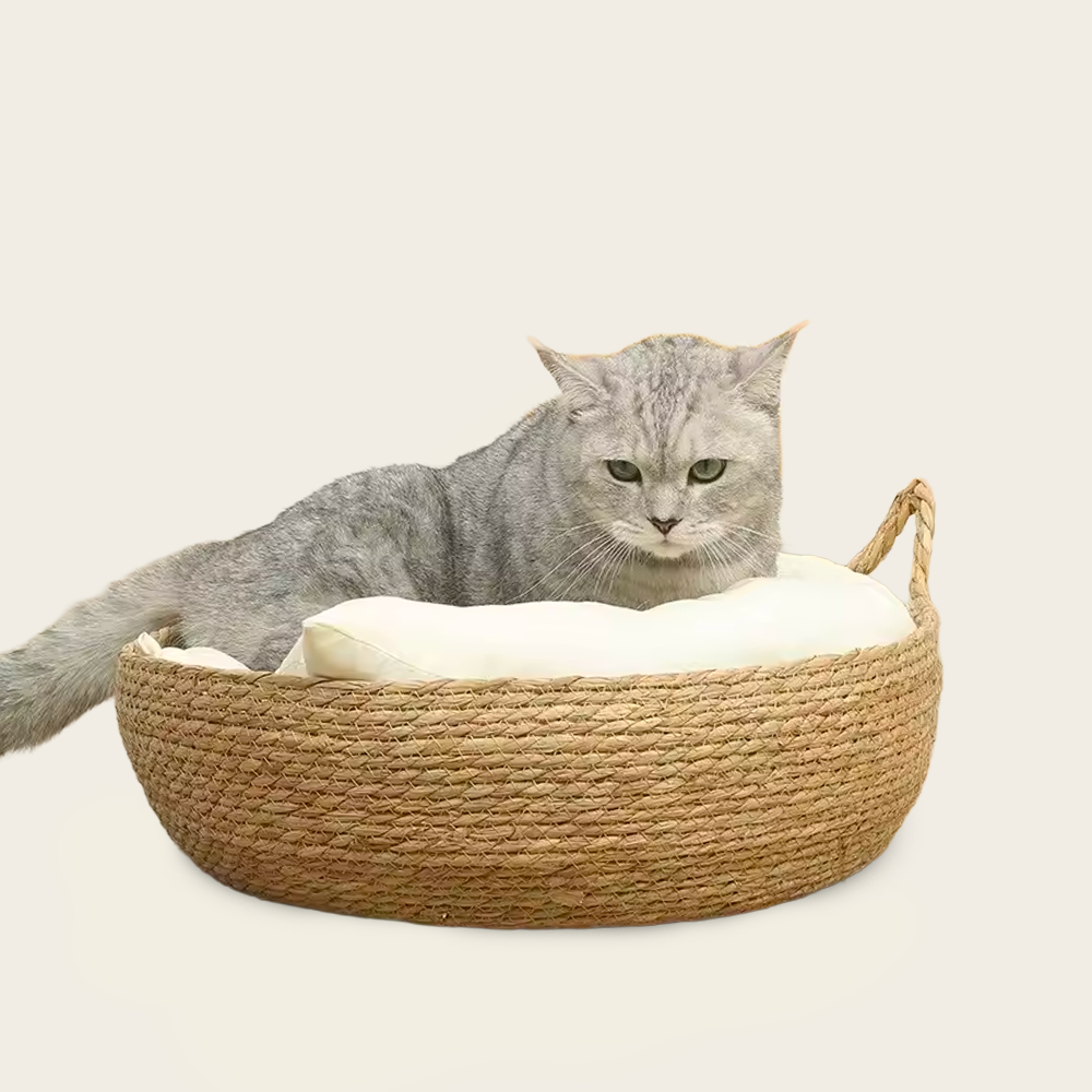 Panier en Osier<br>pour Chat à Petit Prix